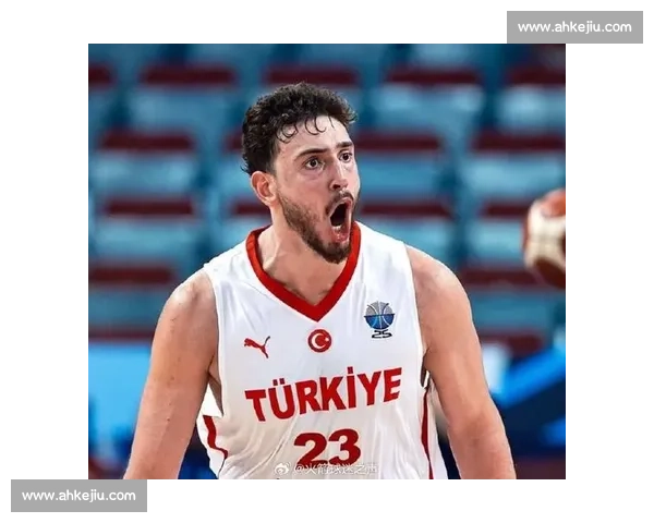 申京 24+16+6 逆转瑞典 攻防进化书写土耳其篮球复兴